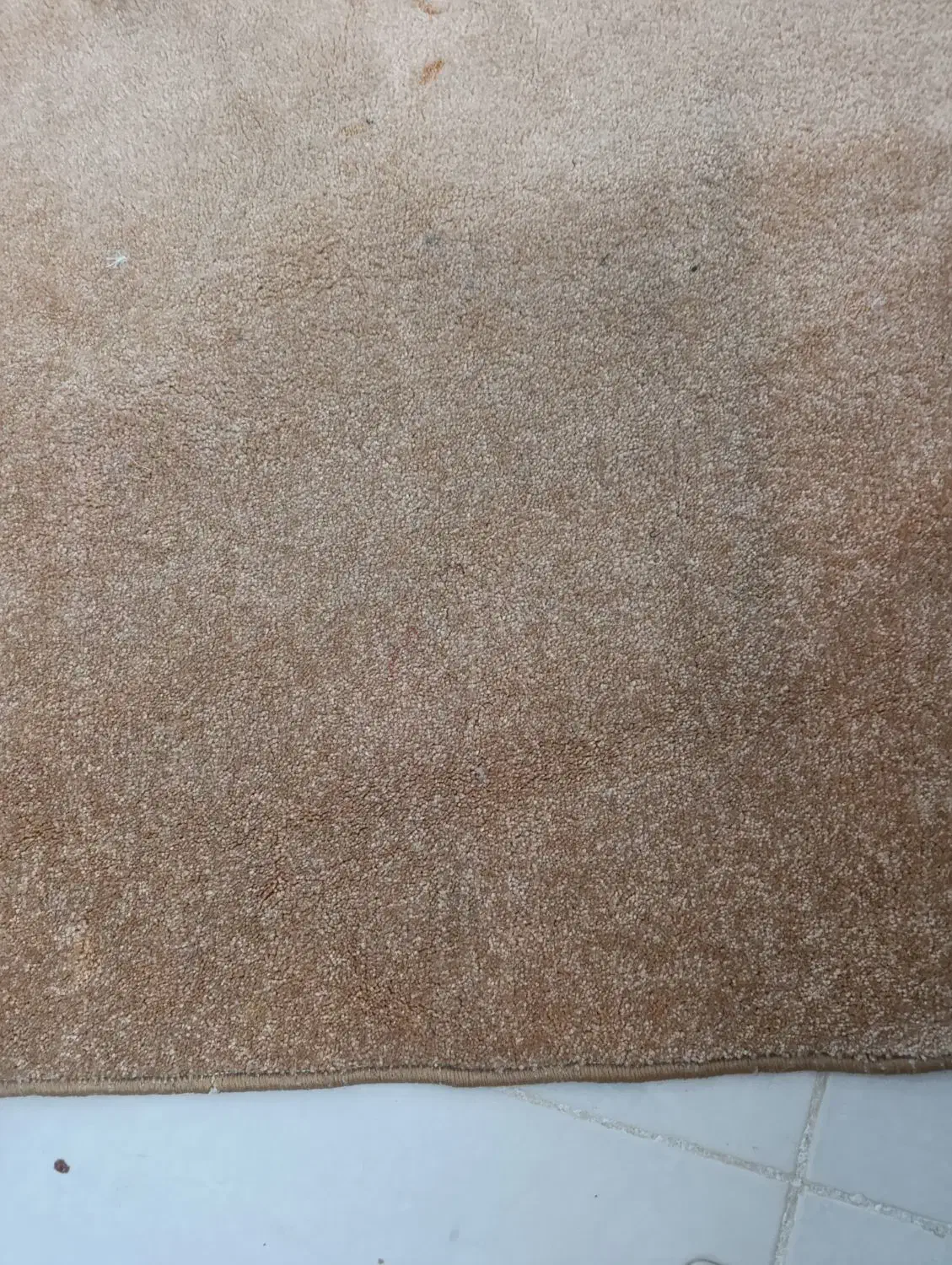 موکت|موکت|مریوان, |دیوار