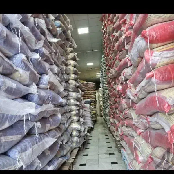 فروش برنج سبزبهار متمایز شاهپخت جشنواره چارلی احمد|خوردنی و آشامیدنی|کارون, |دیوار