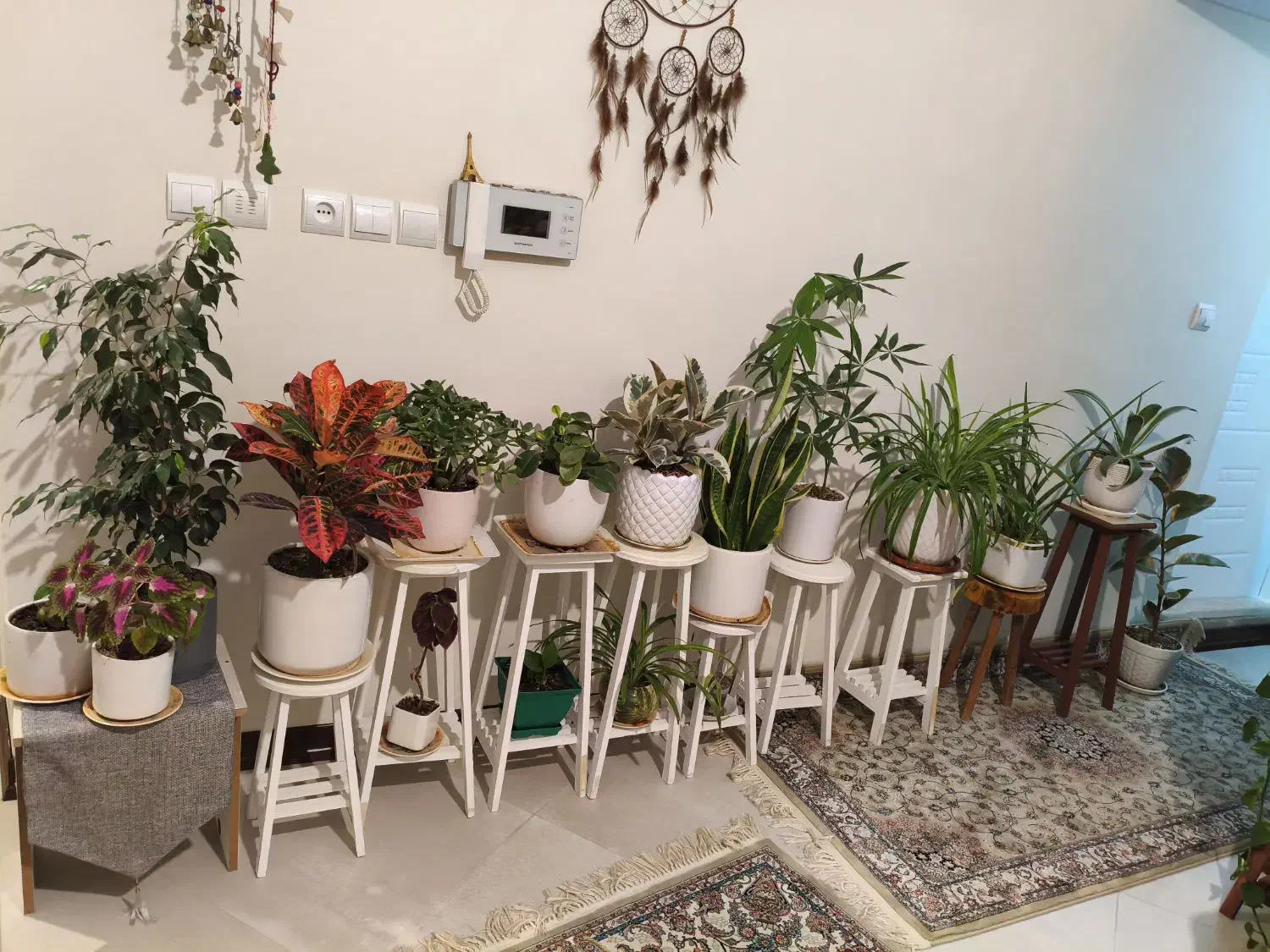 گلدان و پایه گدان|گل و گیاه طبیعی|لواسان, |دیوار