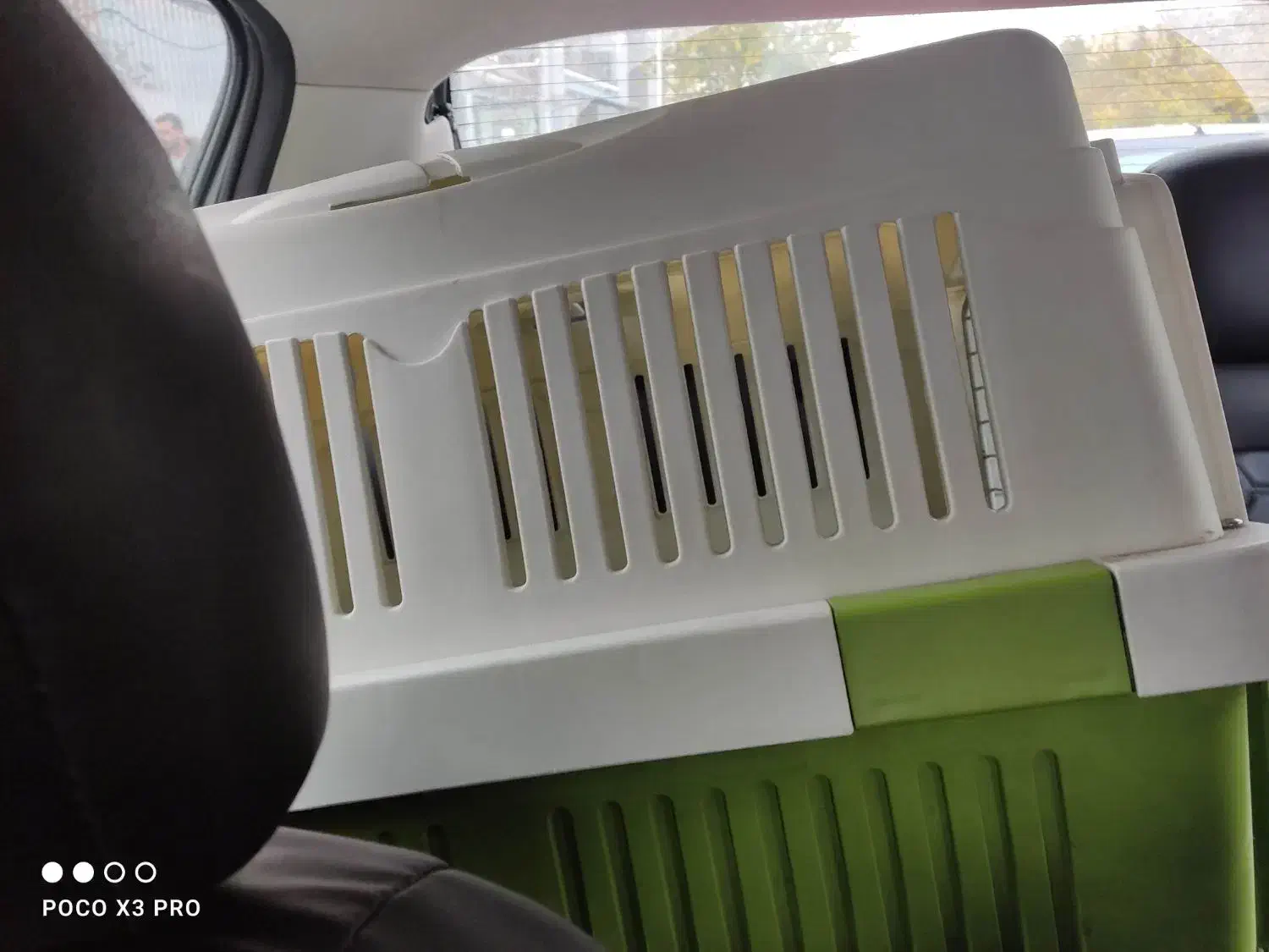 باکس سگ|لوازم جانبی حیوانات|تهران, زنجان جنوبی|دیوار