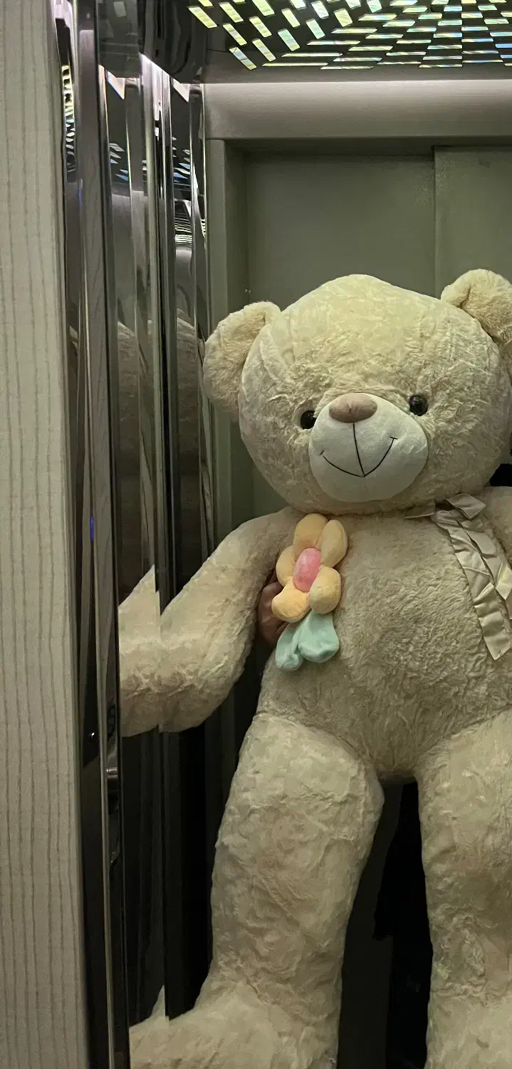 خرس|اسباب‌‌بازی|قم, زنبیل آباد|دیوار