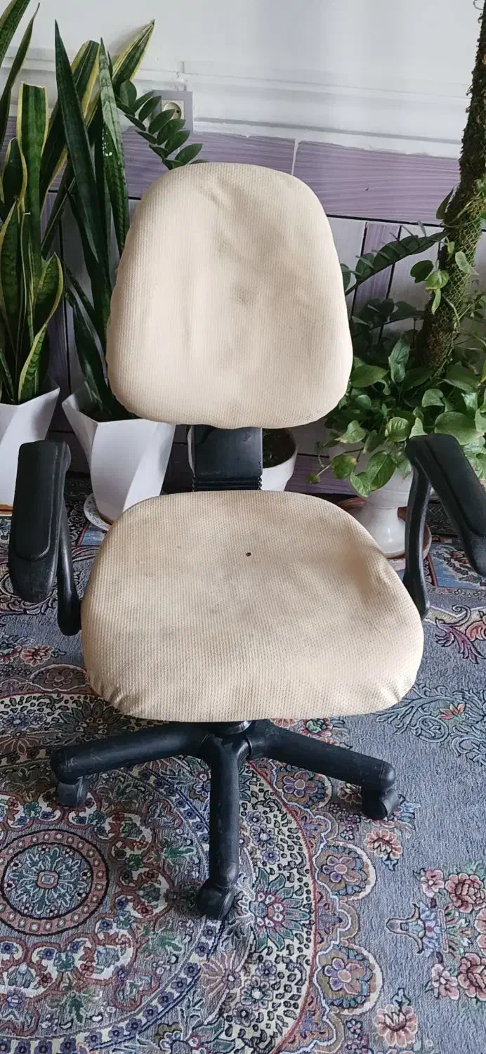 صندلی چرخ دار، دره شهر|صندلی و نیمکت|آبدانان, |دیوار