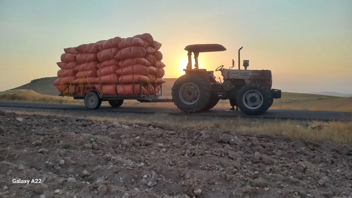 کاه گندم و یونجه|لوازم جانبی حیوانات|میانه, |دیوار