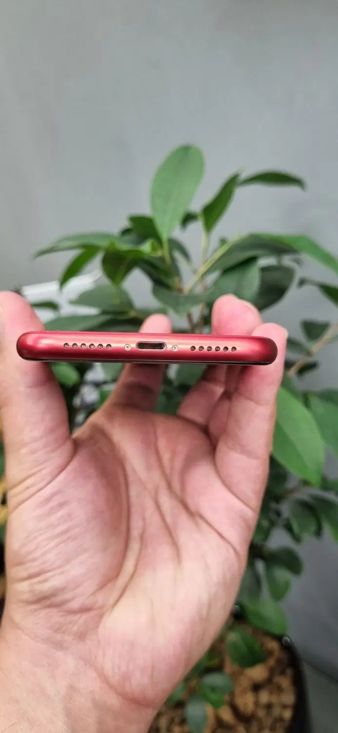 lphone 11 ایفون|موبایل|تهران, جردن|دیوار