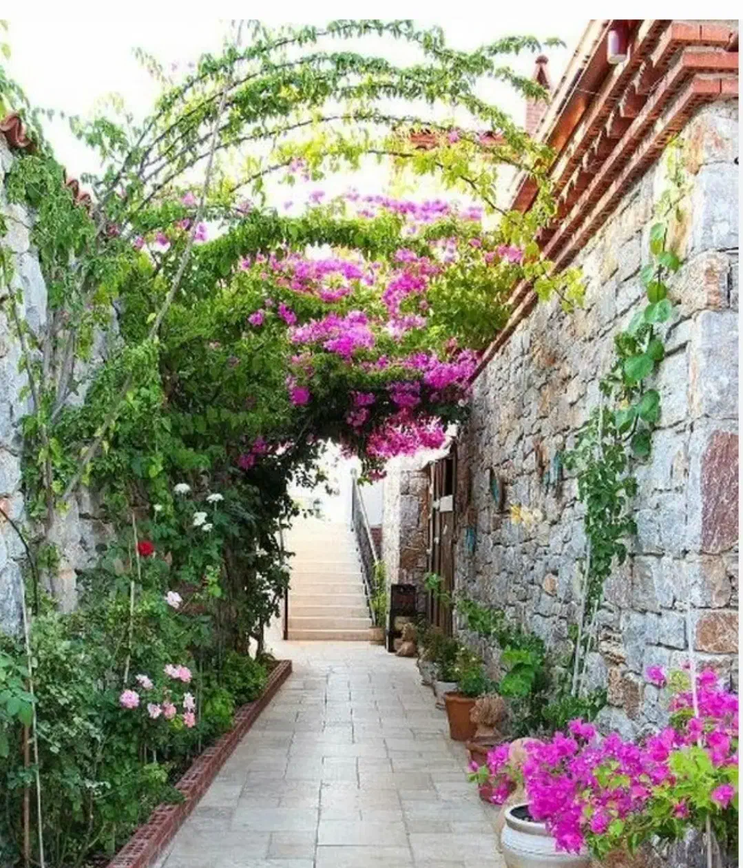 ۵۷۰ متر زمین در بهترین موقعیت شهرک ارغوان|فروش زمین و ملک کلنگی|طرقبه, |دیوار