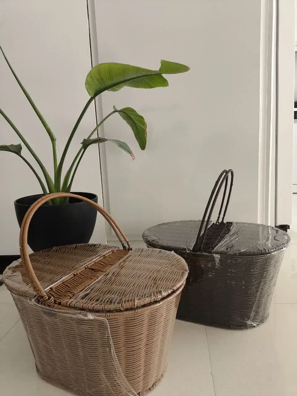 سبد دست بافت|صنایع دستی و سایر لوازم تزئینی|گنبد کاووس, |دیوار