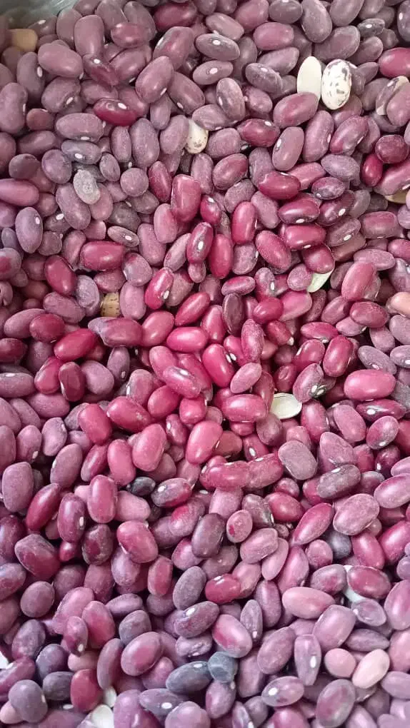حبوبات|خوردنی و آشامیدنی|تهران, قصر فیروزه ۱|دیوار