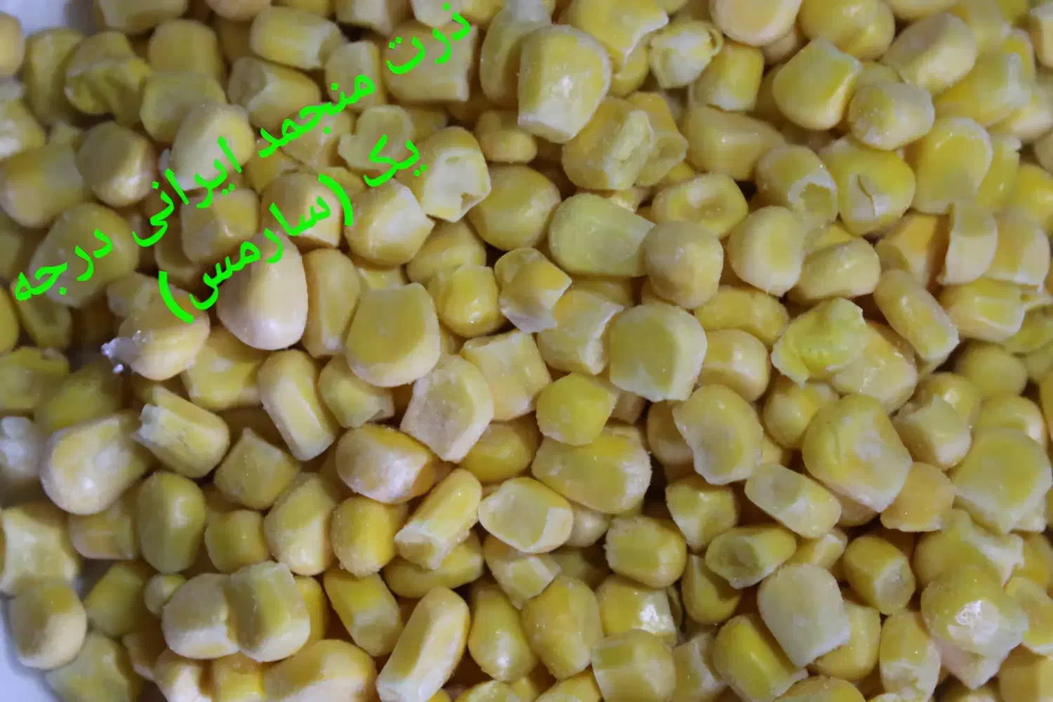 استخدام بازریاب و ویزیتور|استخدام بازاریابی و فروش|رشت, لاکان|دیوار