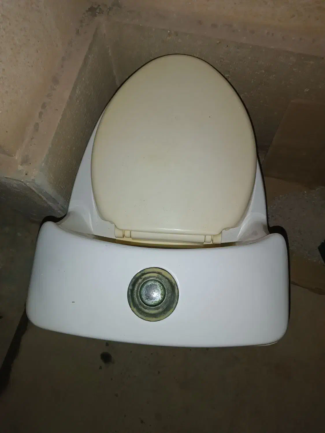 توالت فرنگی|لوازم سرویس بهداشتی|کیش, |دیوار