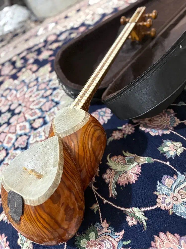 تار ۳/۴ زیبا|سازهای سنتی|هشتگرد, شهرک ولیعصر (مصلی)|دیوار