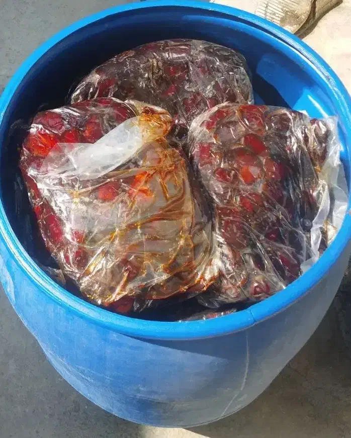 خرما درجه یک و.|خوردنی و آشامیدنی|برازجان, |دیوار