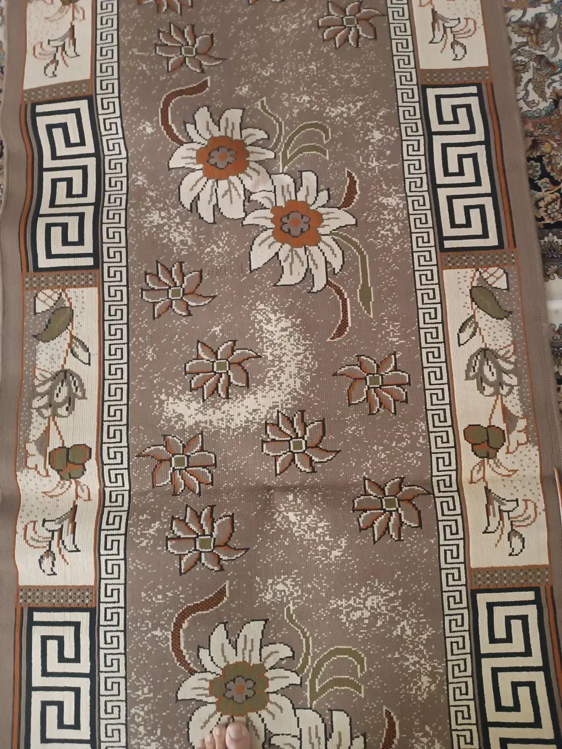 گلیم|گلیم، جاجیم، گبه|قم, شاد قلی|دیوار