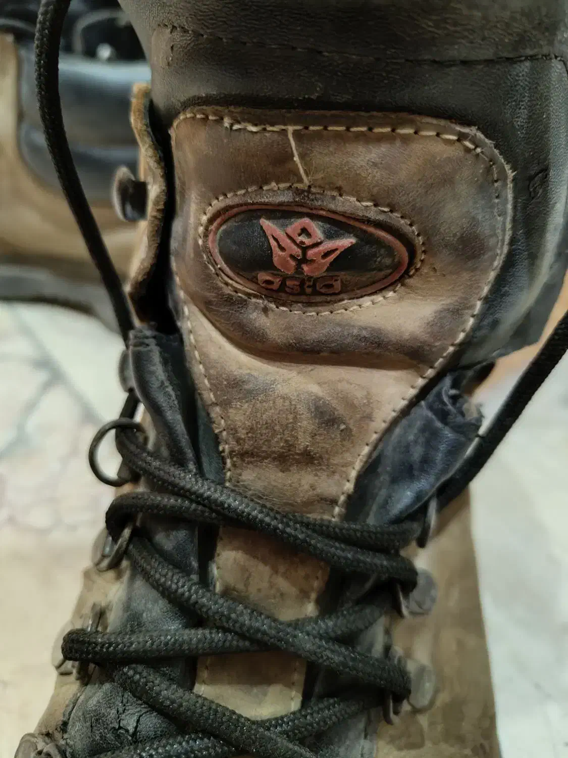 کفش کوهنوردی|کوهنوردی و کمپینگ|مشهد, رضاشهر|دیوار