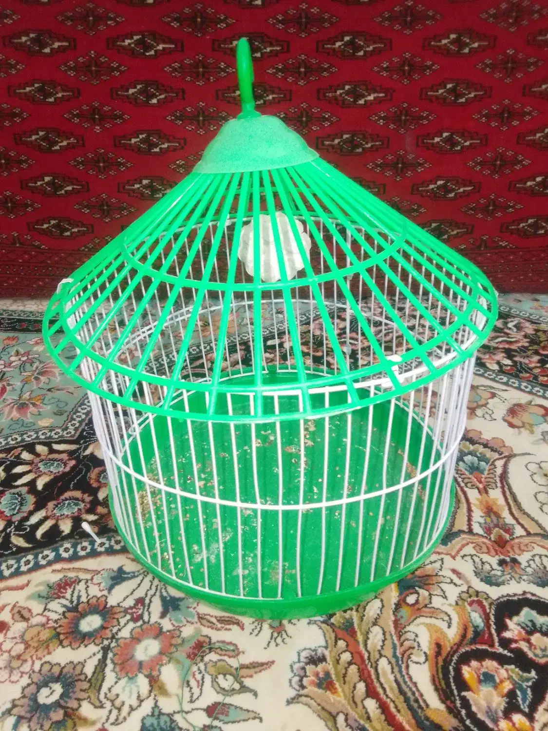 قفس|لوازم جانبی حیوانات|سرخس, |دیوار