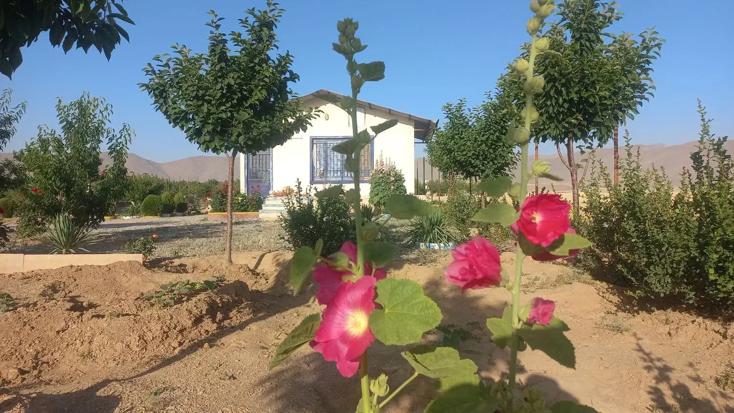 بهترین موقعیت خرید ملک|فروش دفتر صنعتی، کشاورزی، تجاری|اراک, |دیوار