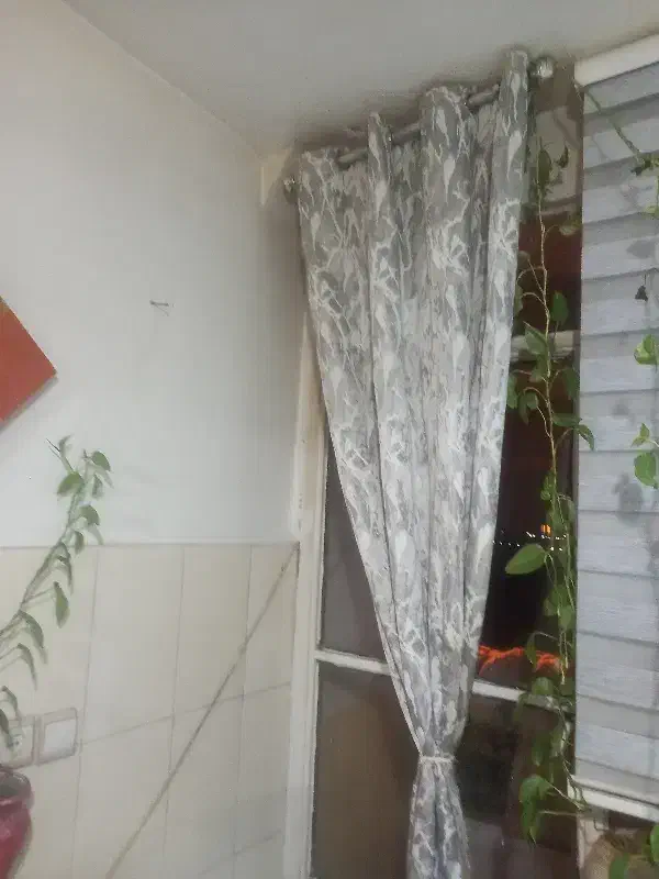 پرده|پرده، رانر، رومیزی|مشهد, کوی ولیعصر|دیوار