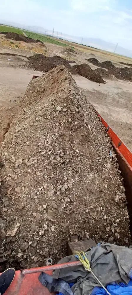 زرین کودمرغی|خدمات باغبانی و درختکاری|پشتکوه (سیستان و بلوچستان), |دیوار