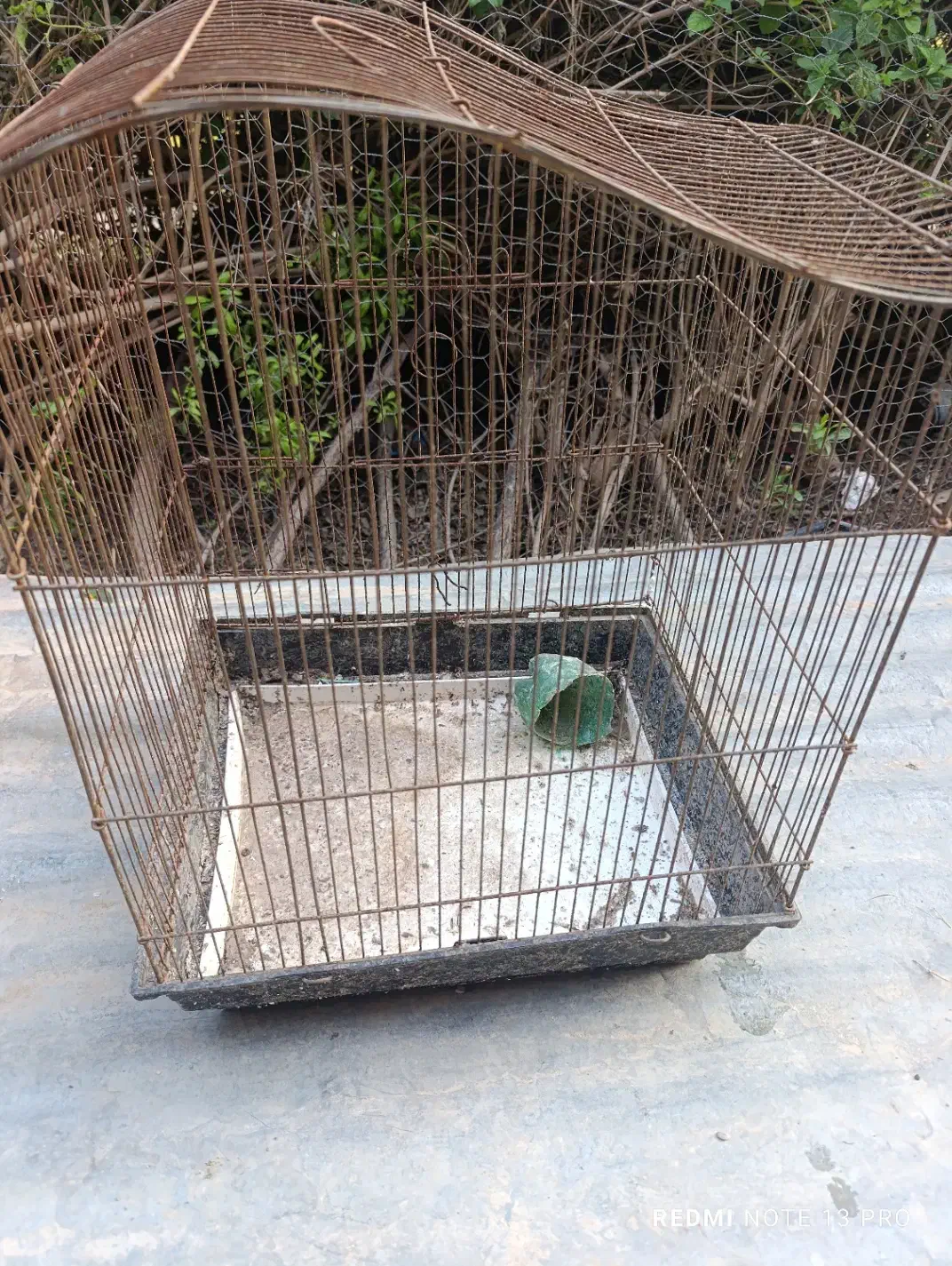 قفس|لوازم جانبی حیوانات|دزفول, |دیوار