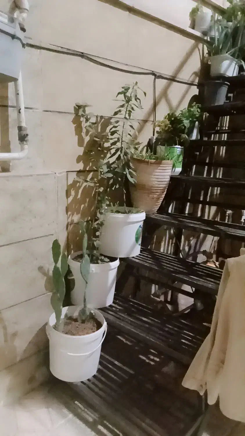 اجاره خانه|اجارهٔ خانه و ویلا|تاکستان, |دیوار