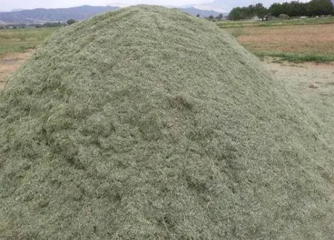 یونجه درجه 1|خدمات باغبانی و درختکاری|دهگلان, |دیوار