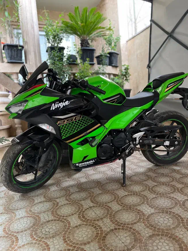 نینجا ۲۵۰ دو سیلندر در حد صفر|موتورسیکلت|رشت, پاستوریزه|دیوار