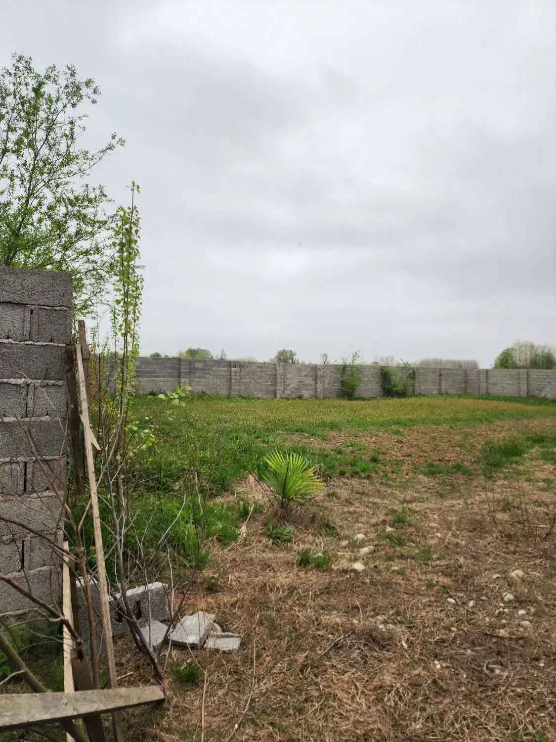 ۱۰۰۰ هزار متر زمین مسکونی|فروش زمین و ملک کلنگی|ماسال, |دیوار