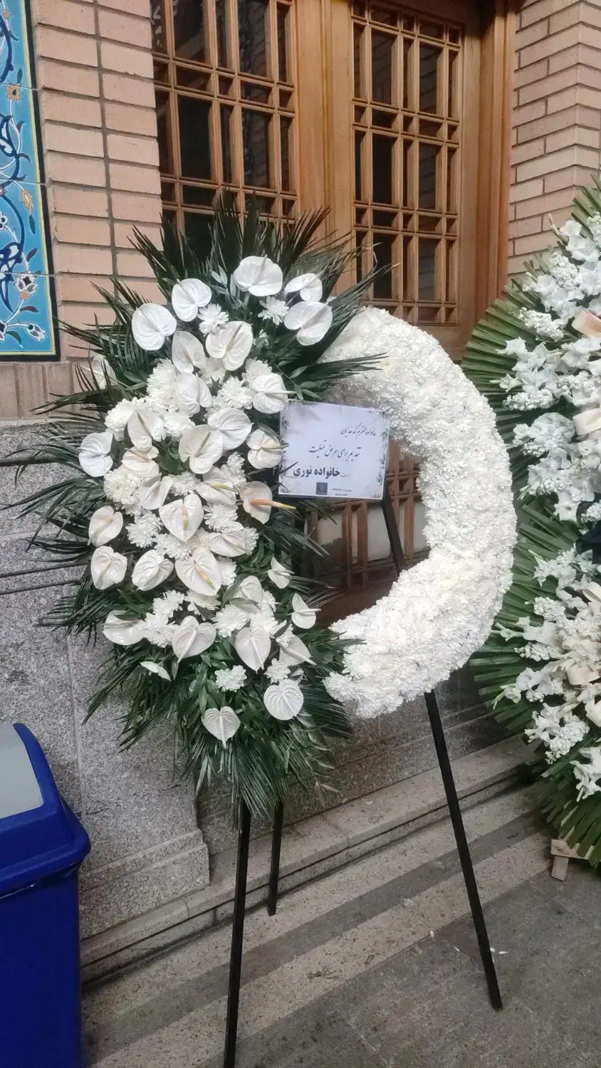 تاج گل|گل و گیاه طبیعی|کرج, کوی کارمندان شمالی|دیوار