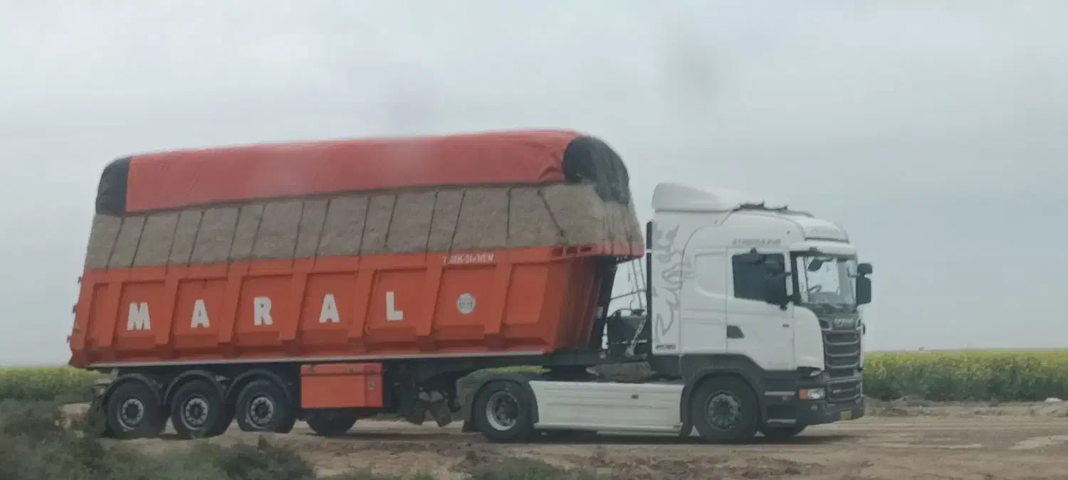 کاه نیشکر،  باگاس|عمده‌فروشی|کارون, |دیوار