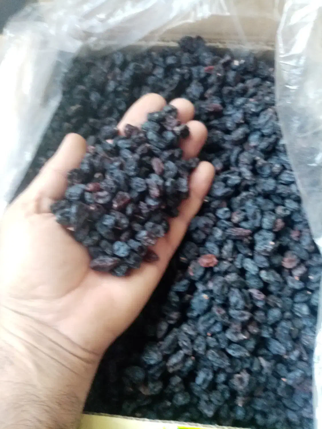 کشمش|خوردنی و آشامیدنی|خنداب, |دیوار