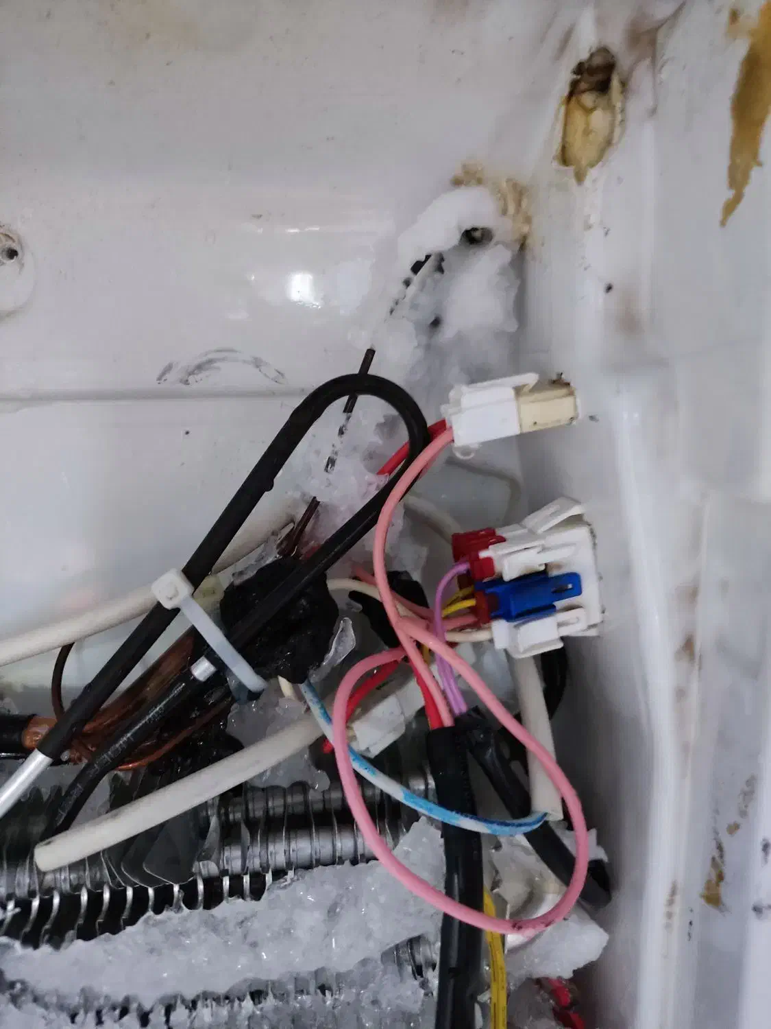 نمایندگی تعمیرات یخچال ،لباسشویی .ودودی|خدمات پیشه و مهارت|مراغه, |دیوار