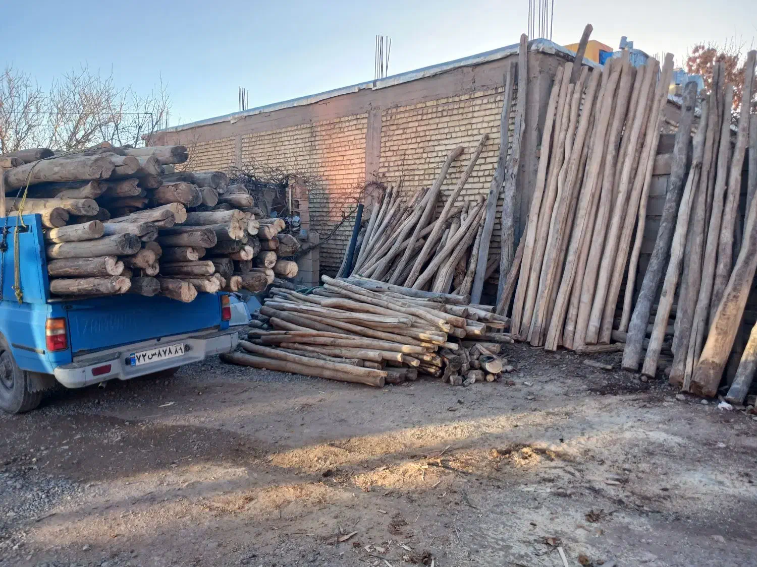 خریدار چوب درختان و چوب های سقفی|خدمات باغبانی و درختکاری|لردگان, |دیوار