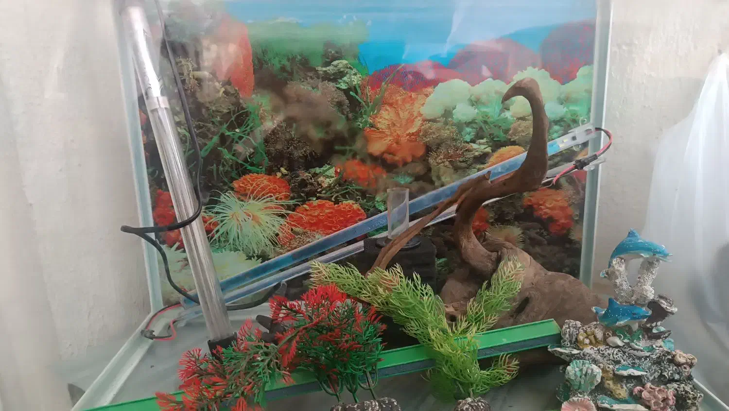 اکواریوم دور خم خیلی تمیز بدون ایراد|ماهی|سهند, |دیوار