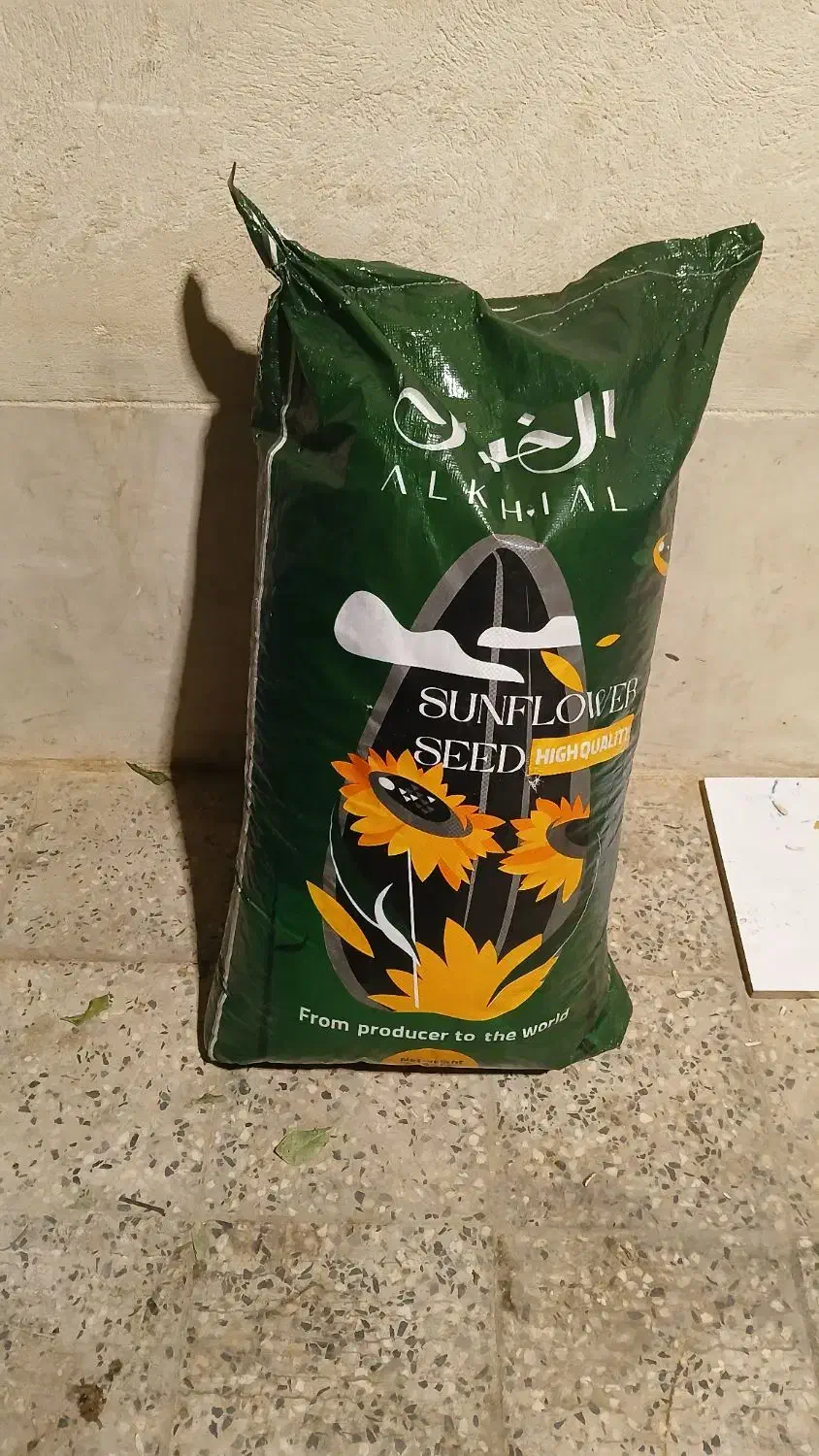 تخمه|عمده‌فروشی|قیدار, |دیوار