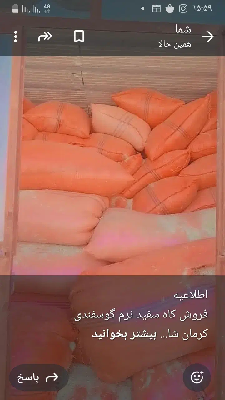 فروش کاه نرم و ریز  گوسفندی|لوازم جانبی حیوانات|نیک شهر, |دیوار