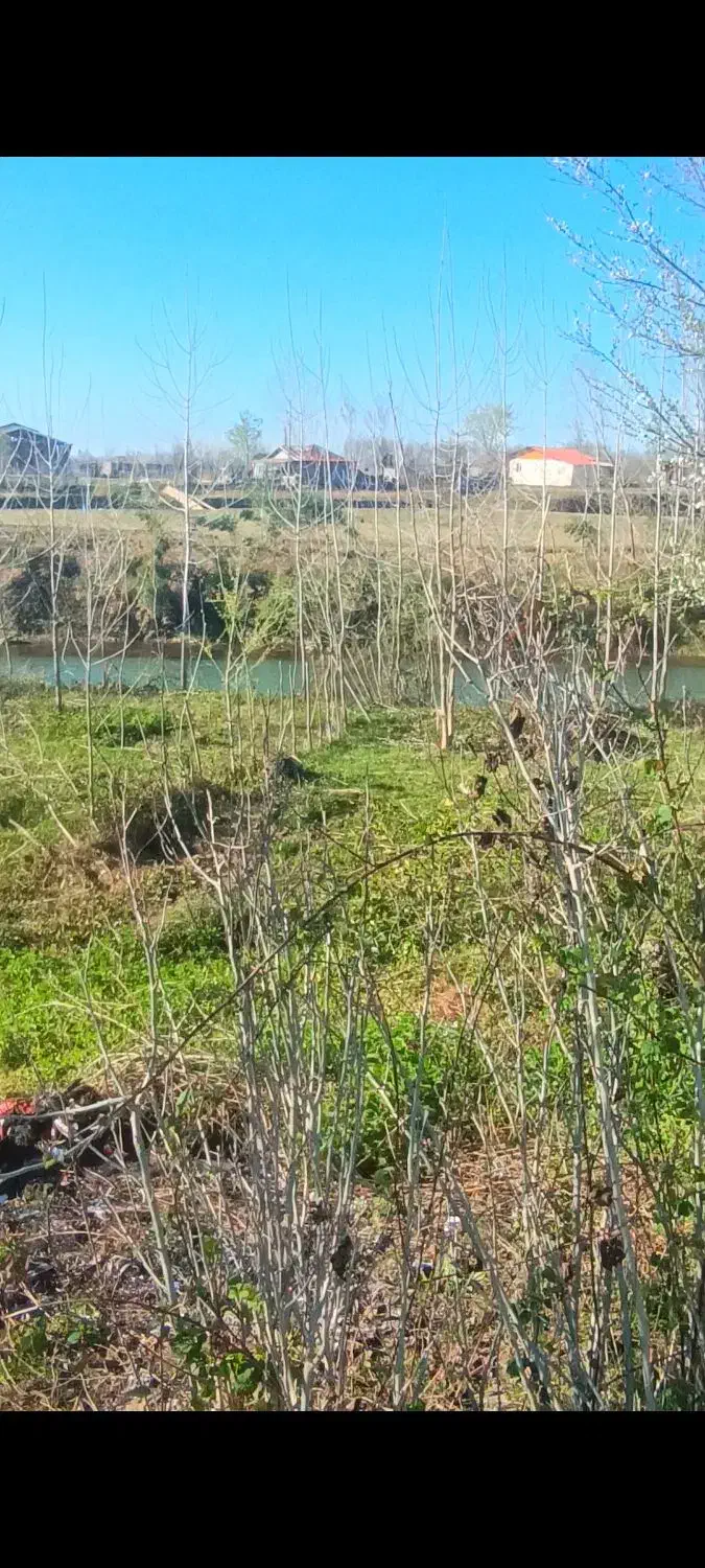 زمین مسکونی با ویو رودخانه|فروش زمین و ملک کلنگی|آستانه اشرفیه, |دیوار