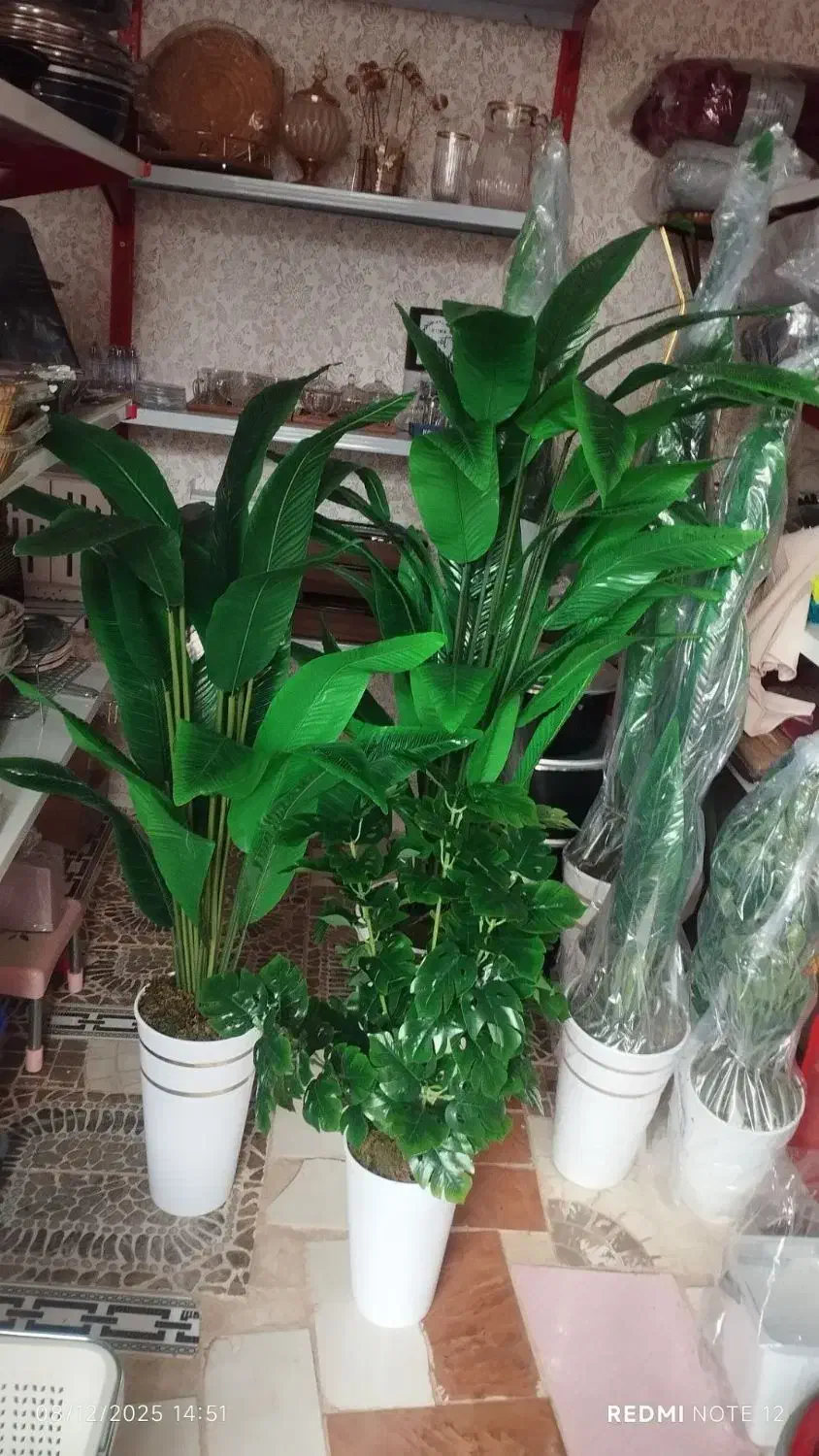 گل پرنده بهشتی مصنوعی|گل مصنوعی|سراب, |دیوار