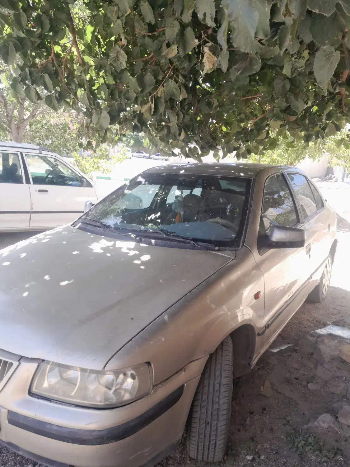 سمند مدل ۸۳ بسیارتمیز وسالم|خودرو سواری و وانت|تربتحیدریه, شهرک ولیعصر|دیوار