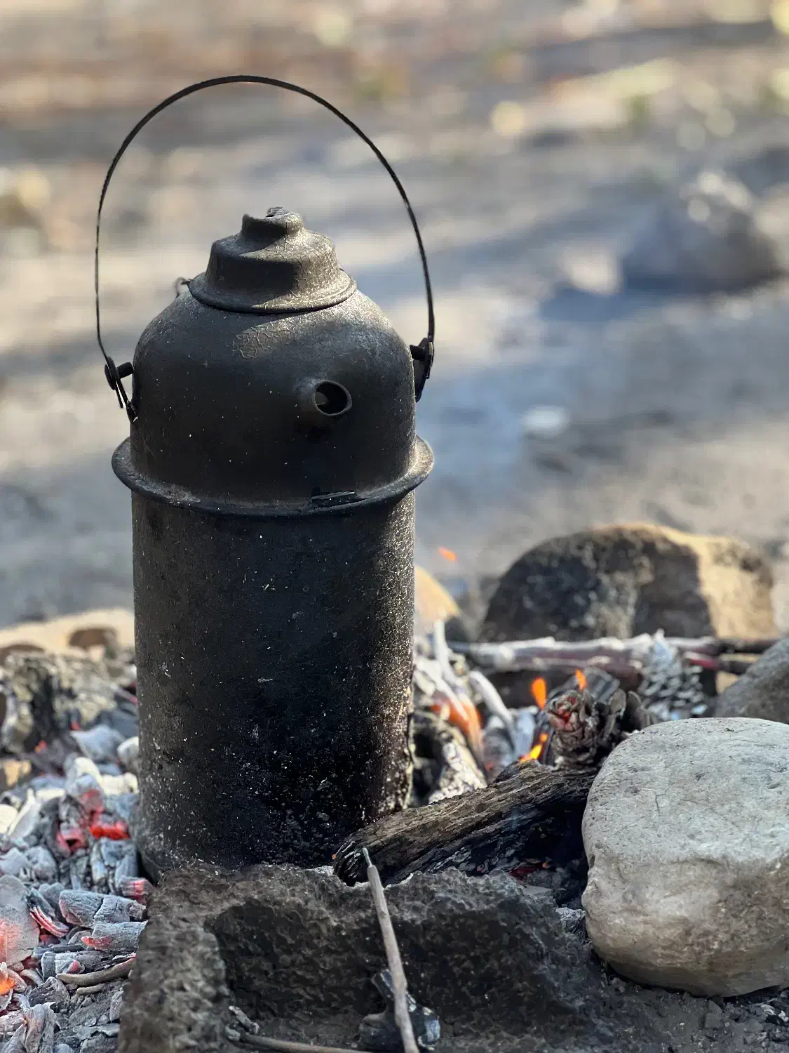 ایونت چای و آش پارک جنگلی چیتگر|خوردنی و آشامیدنی|تهران, بوستان چیتگر|دیوار