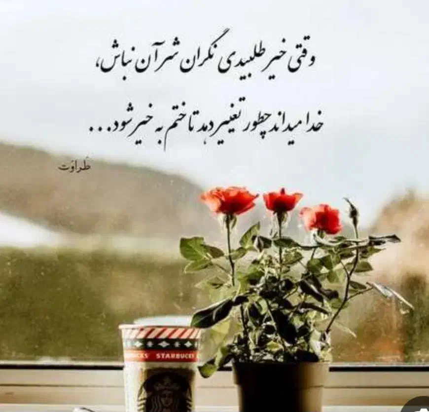 رحم جایگزین|فعالیت داوطلبانه|قم, بنیاد|دیوار