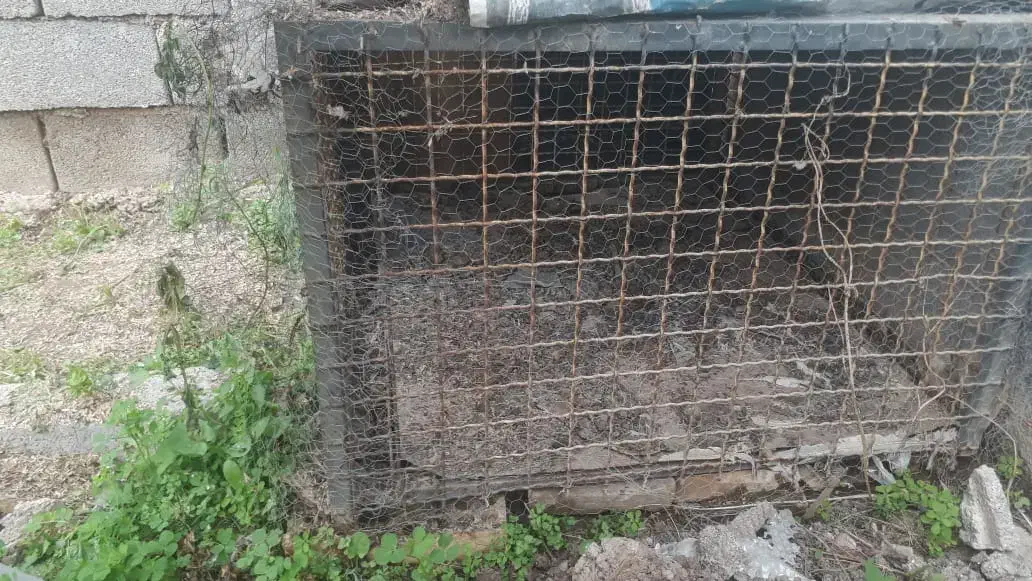 قفس|لوازم جانبی حیوانات|مسجد سلیمان, |دیوار