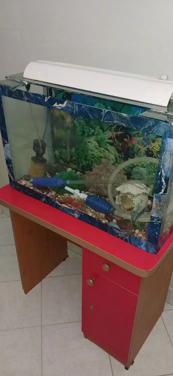 آکواریم|ماهی|کرج, جهان‌شهر|دیوار