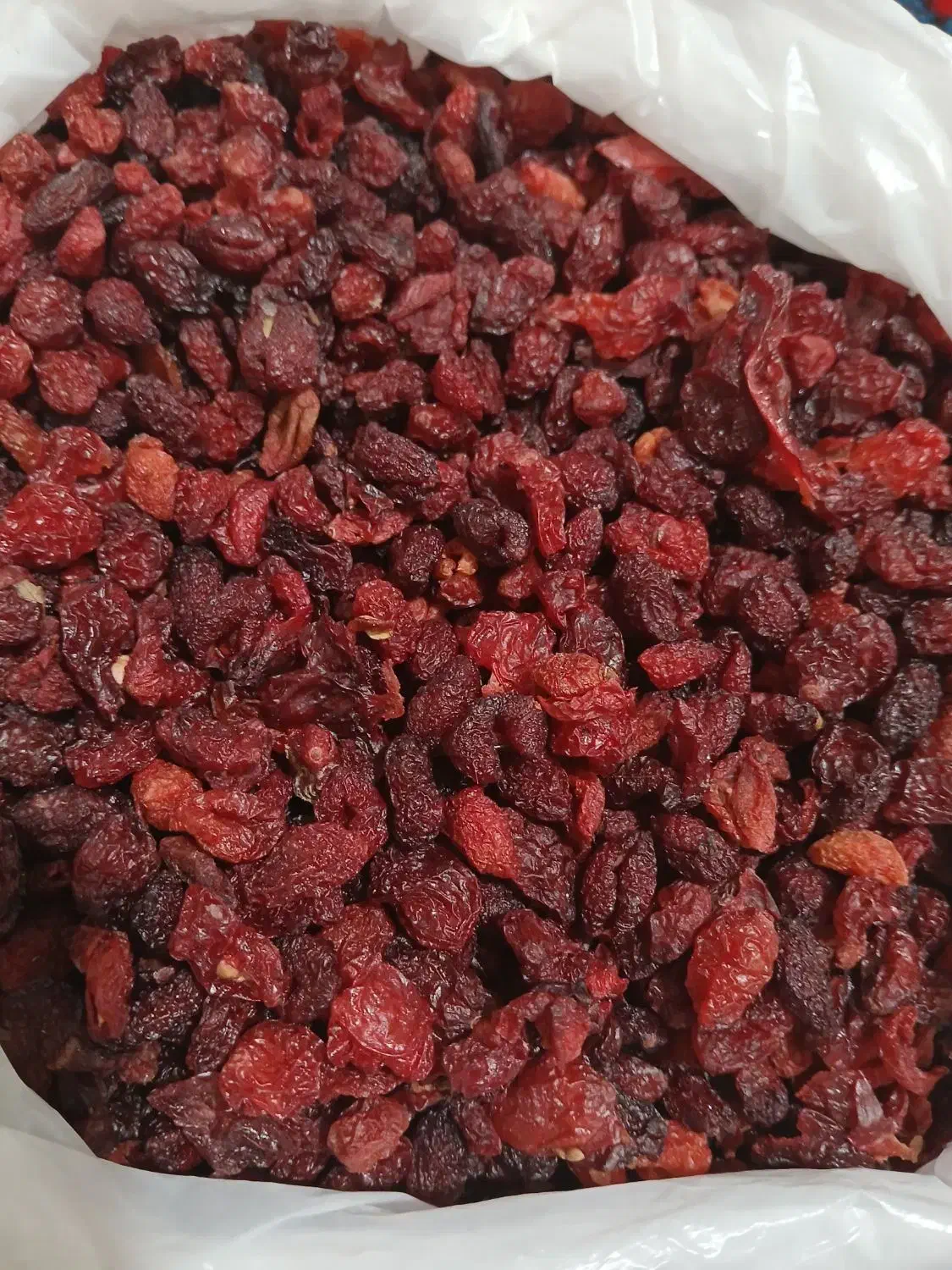 ذغال اخته خشک بدون هسته|خوردنی و آشامیدنی|مشهد, کارده|دیوار