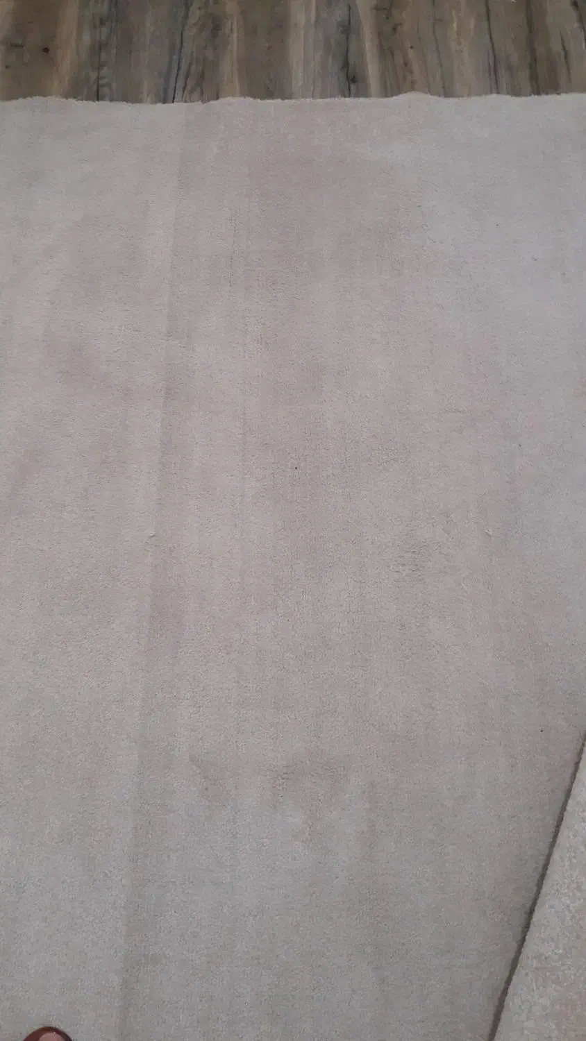 پالاز موکت ۶متری|موکت|ماهدشت, |دیوار