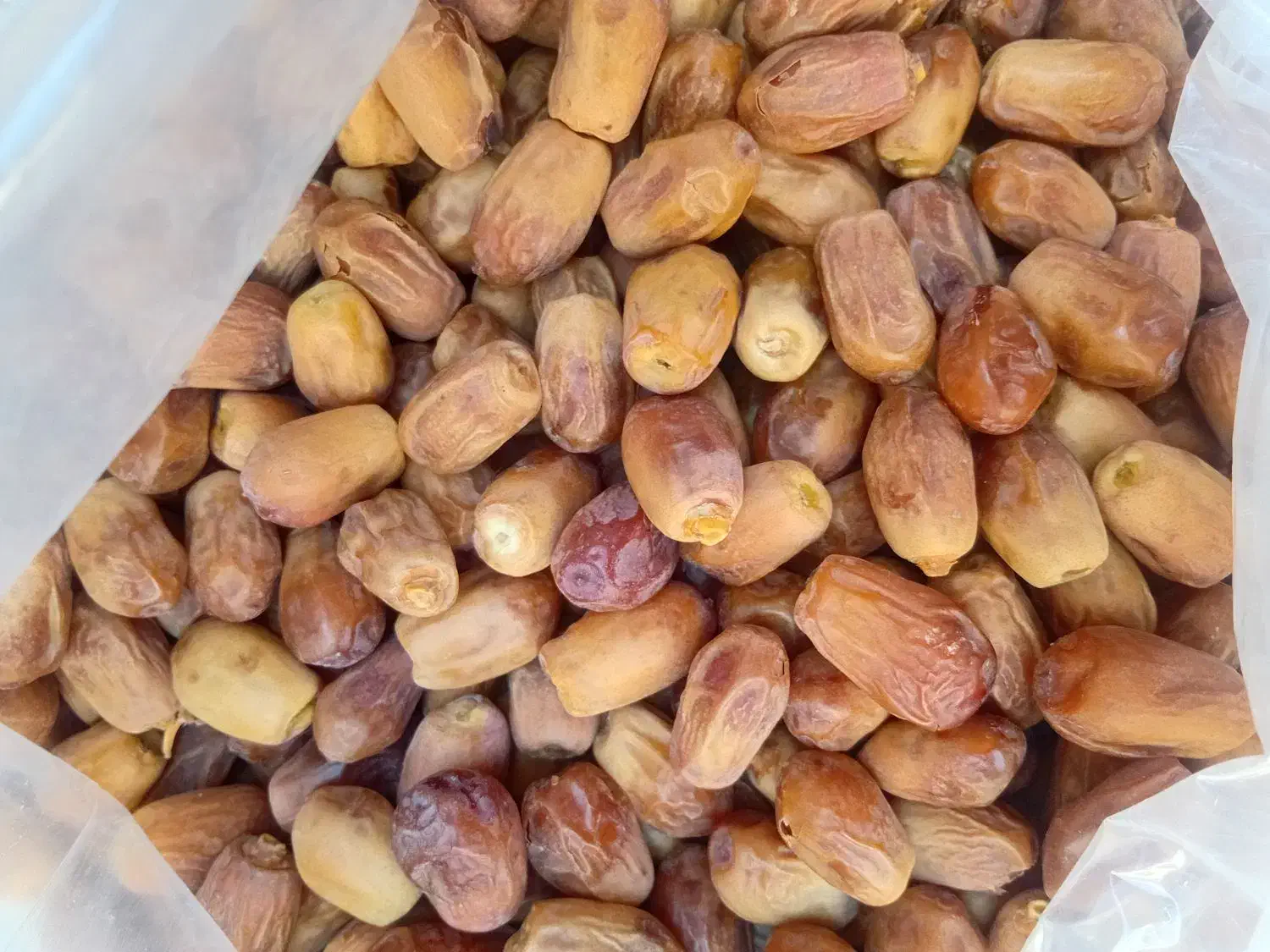 قصبک تازه ۱۳۰|خوردنی و آشامیدنی|شیراز, کفترک|دیوار