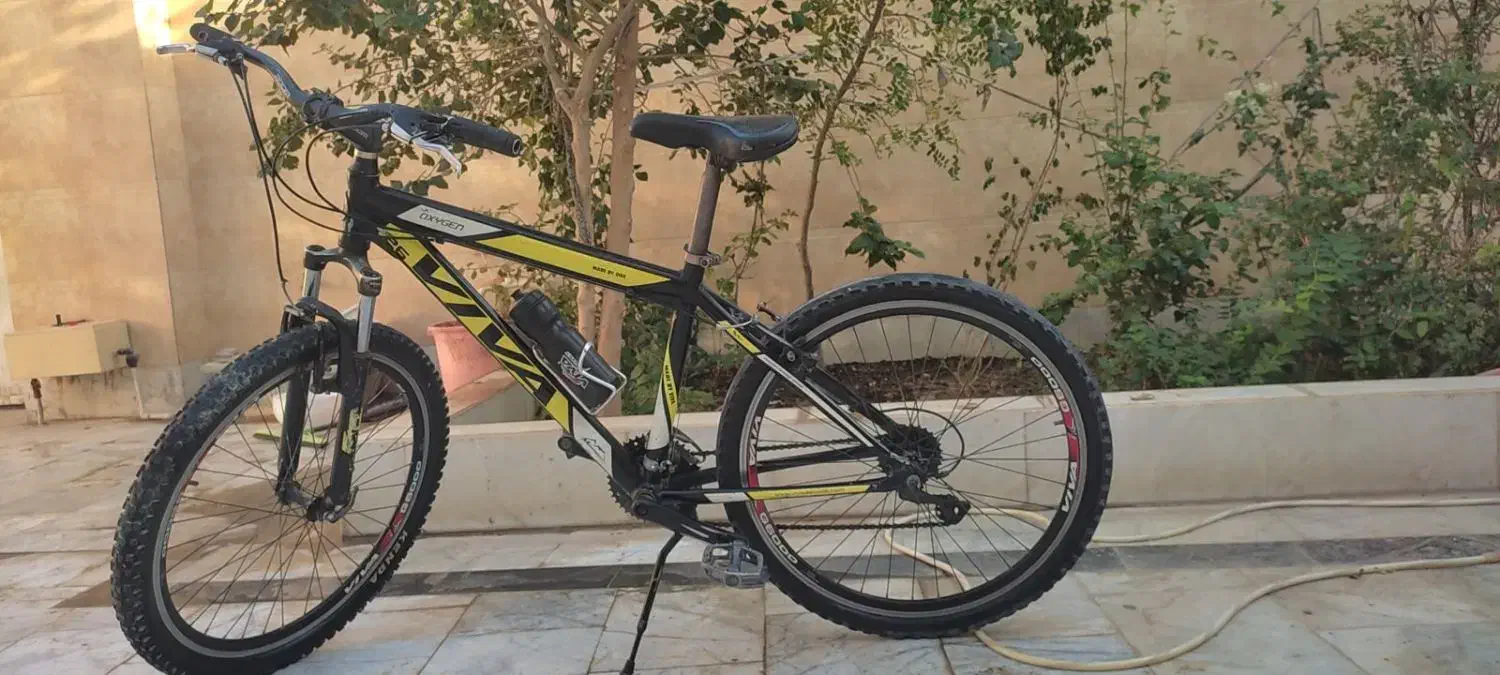 دوچرخه|دوچرخه، اسکیت، اسکوتر|زابل, |دیوار