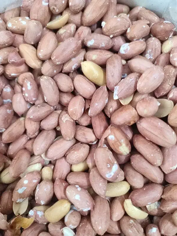 آجیل بادام زمینی بادام درختی گردو مغز گردو انجیر|خوردنی و آشامیدنی|قم, زنبیل آباد|دیوار