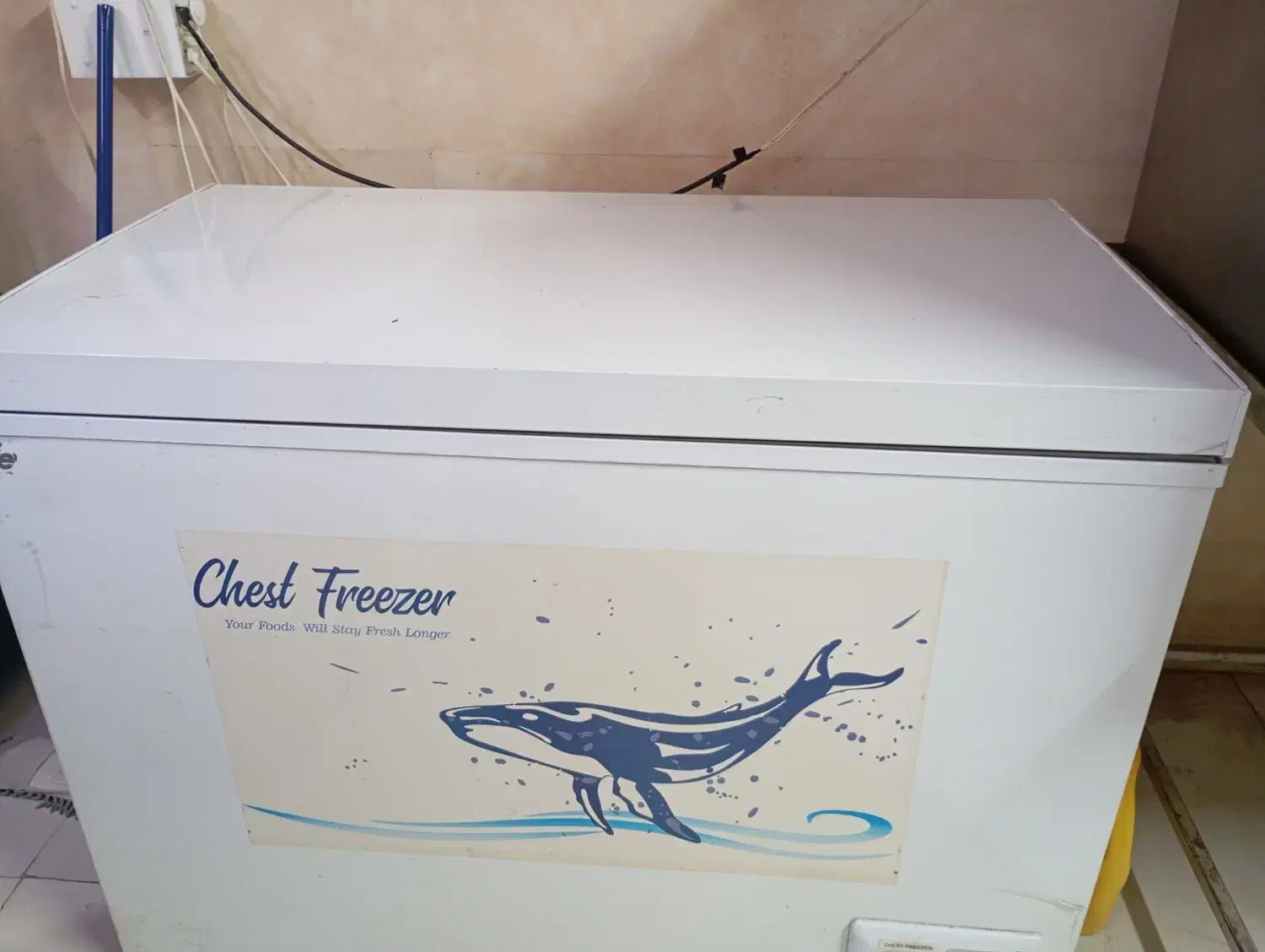 فریزر صندوقی و خمیر گیر ده کیلویی|فروشگاه و مغازه|ملارد, |دیوار