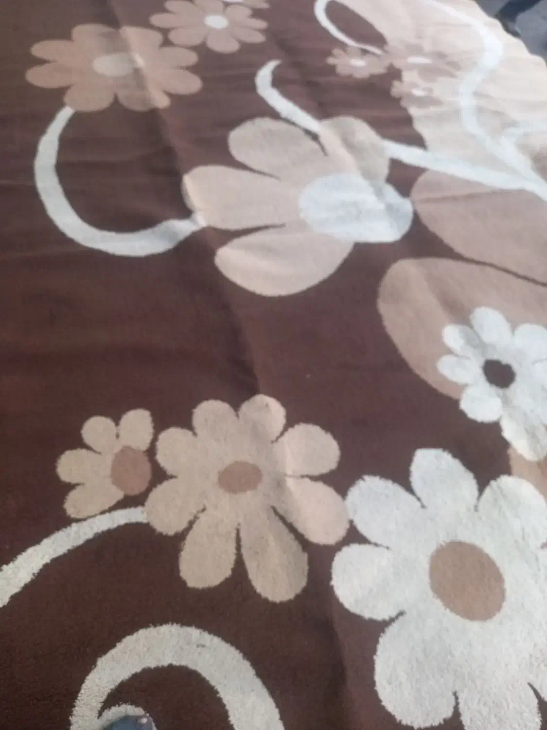 قالی۱۲متری دو عدد|فرش|اهواز, باغ شیخ|دیوار