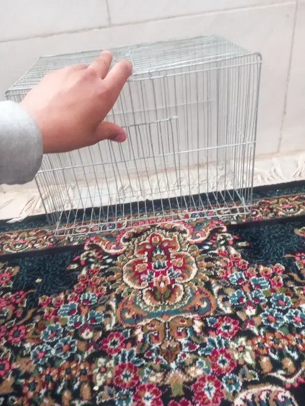 قفس|لوازم جانبی حیوانات|کرمان, |دیوار