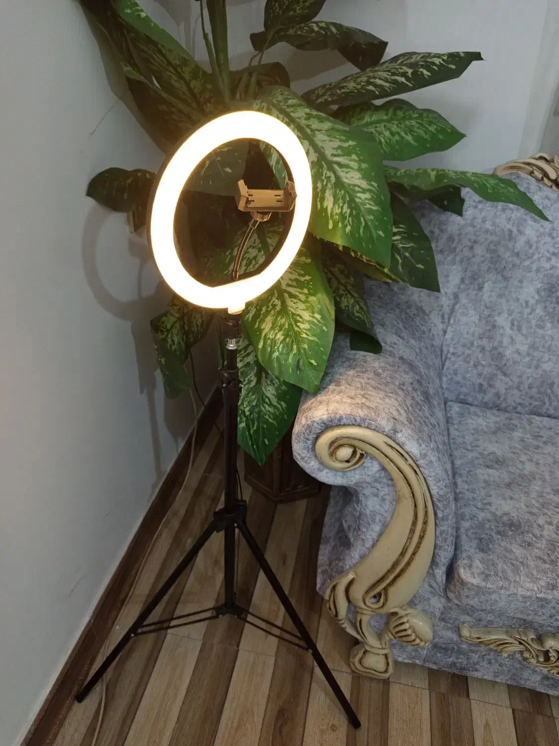 رینگ لایت|لوازم جانبی موبایل و تبلت|شیراز, گویم|دیوار